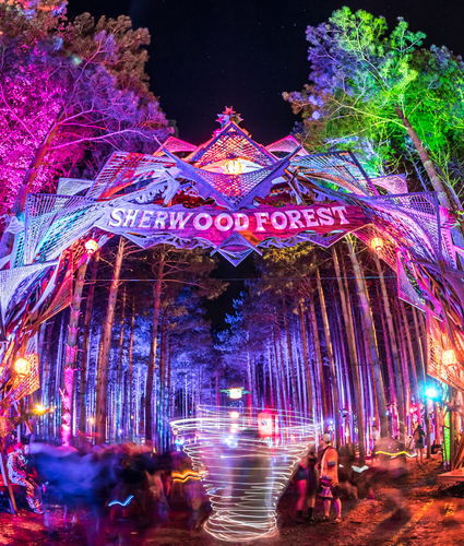 Electric Forest by Alive Coverage II