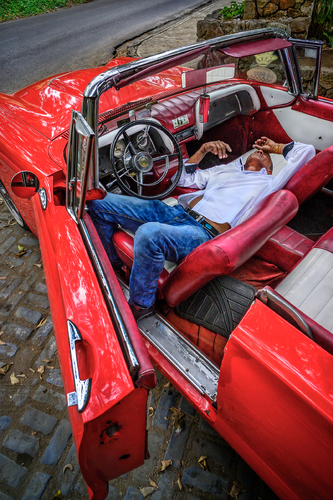 Siesta in T-Bird