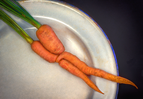 intimate carrots