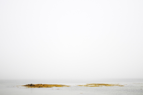 low tide