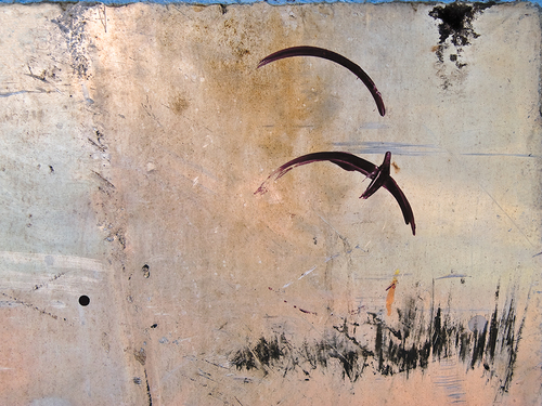Flight