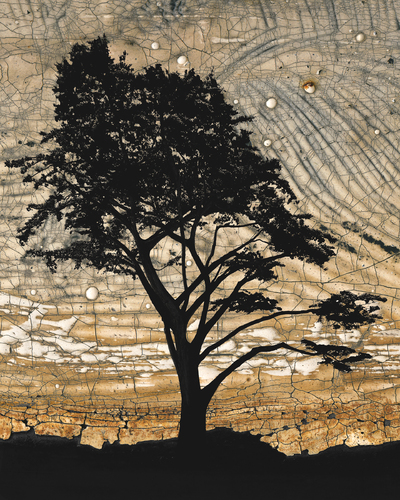 Cypress II