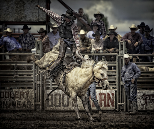 White Bronc 2