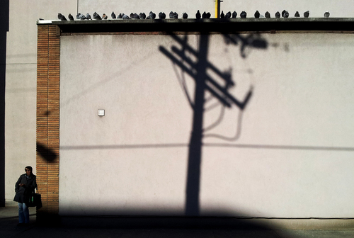 Wires