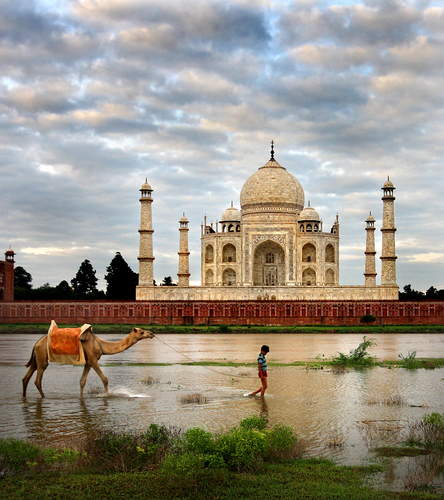 Taj Mahal Morning