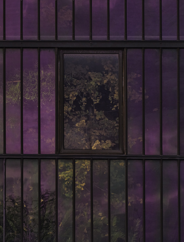 Glass house 2