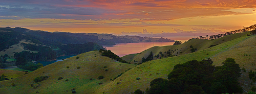 Man-O-War Bay Sunrise