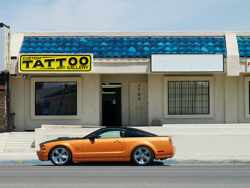 Shelby Mustang