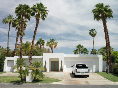 Palmtree Pickup