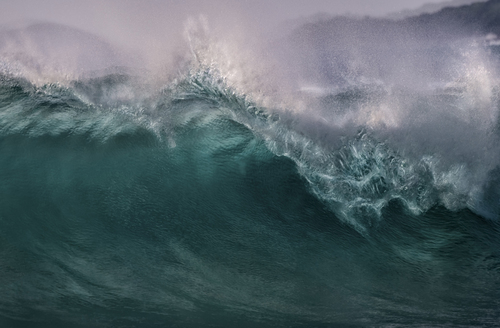 Wave Study