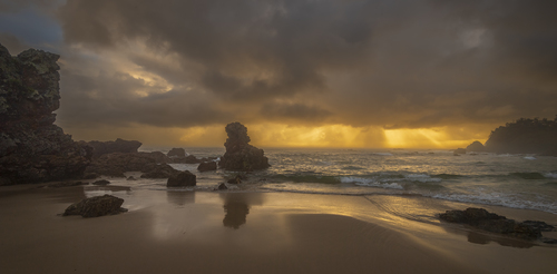 Sea Mist