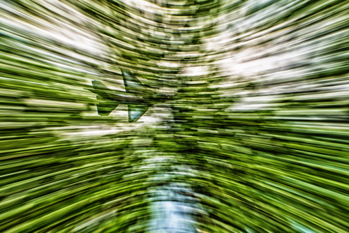 Behind the Trees