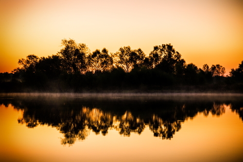 Sunrise on a Foggy Morning
