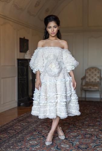 The Dress 