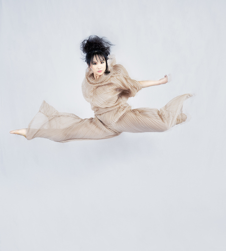 The Ballet Dancer