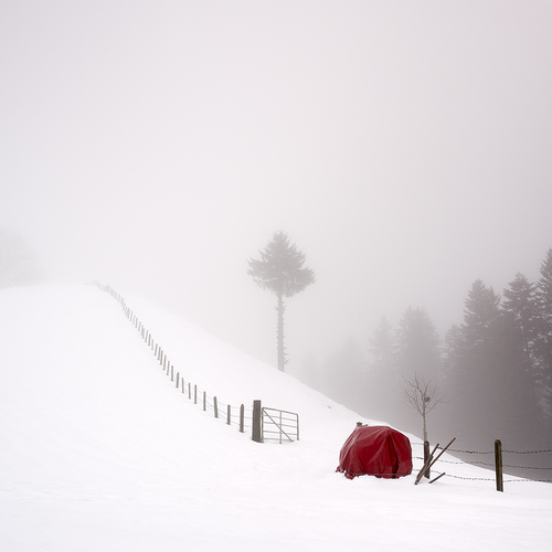 Red at rest