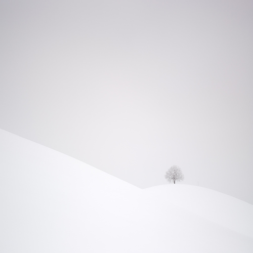 Candid loneliness