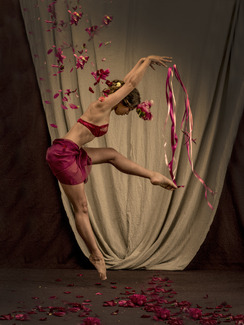 Color Awards Winners and Nominees