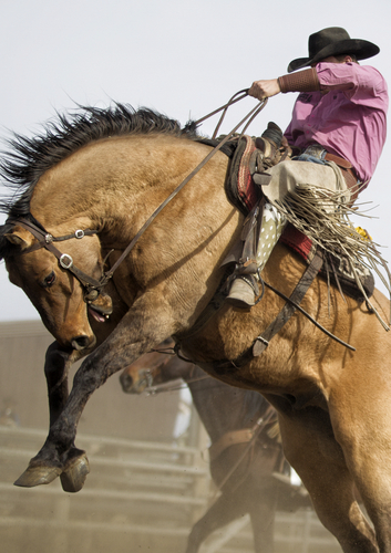 Buckin' Him Out