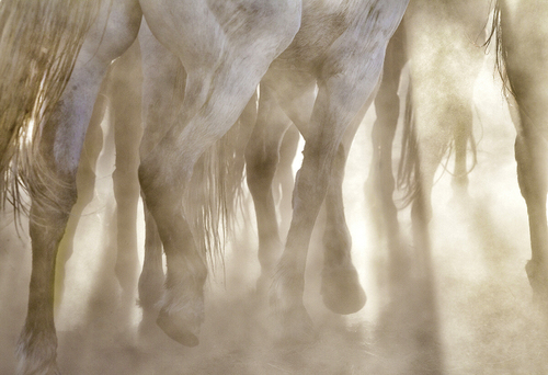 Into The Light