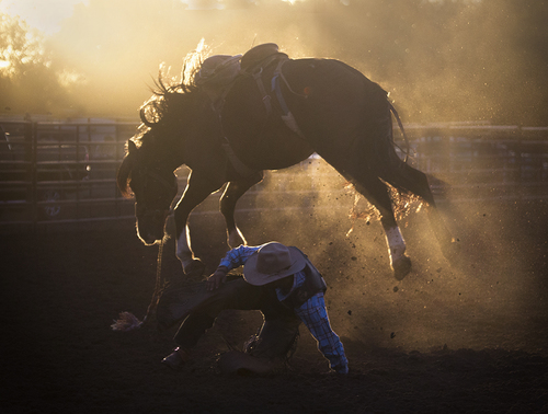 Bronc:1, Cowboy:0