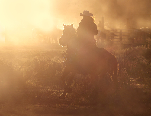 A Cowgirl's Work