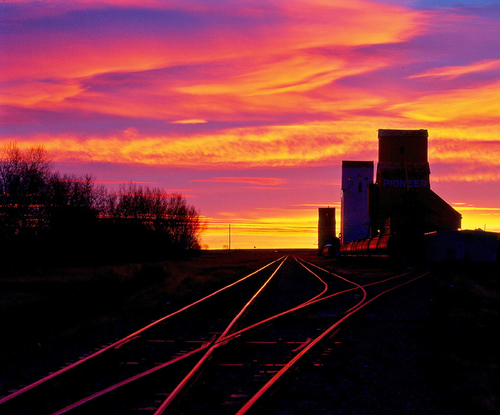 Prairie Colour