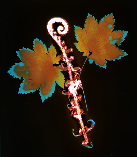 Lumen Lumination