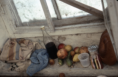 Still Life in Window