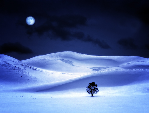 Yellowstone Midnight