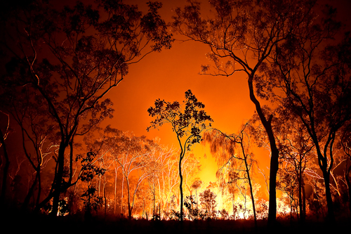 Firestarter