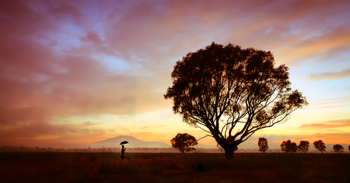 Morning Whispers