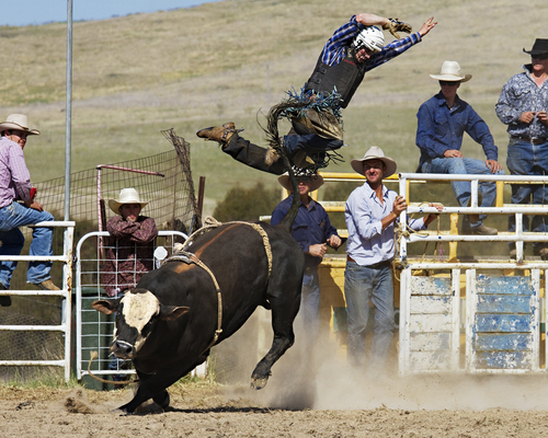 Rodeo Bungendore