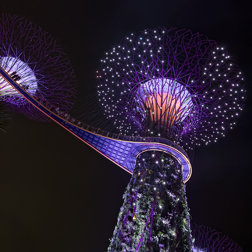 Super Trees