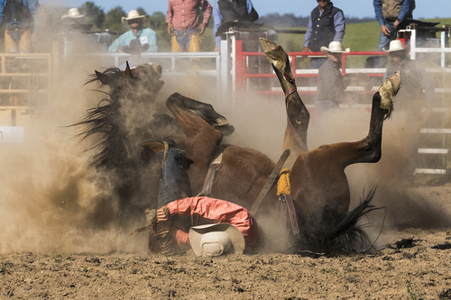 Rodeo Spill 5