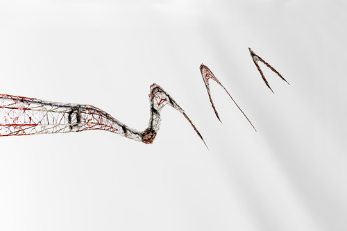 Ephemeral 2