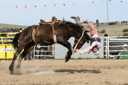 Rodeo Spill 8