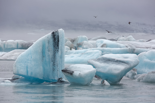 Jokulsarlon Icebergs