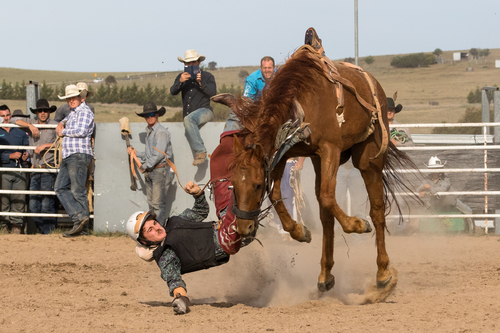 Rodeo Spill #10