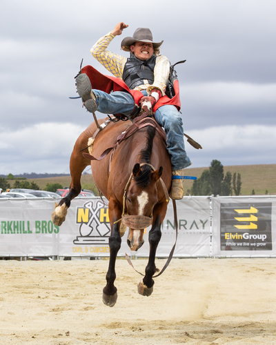 Bareback 2