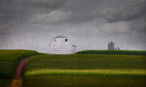Amish Farm