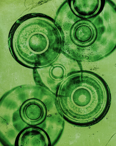 Photogram #2
