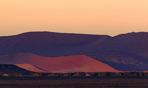 Namibian Dawn