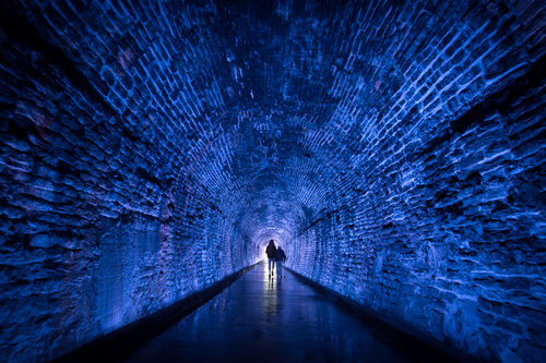 To the Light