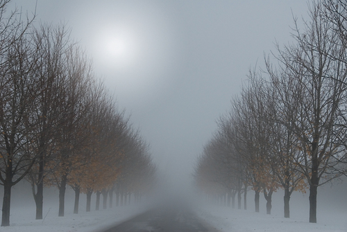 Foggy Day