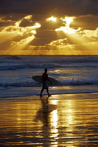 Sunset Surfer