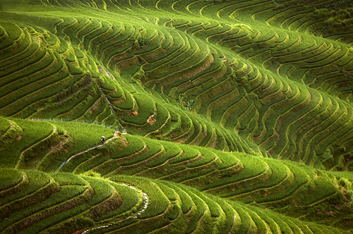 Green China