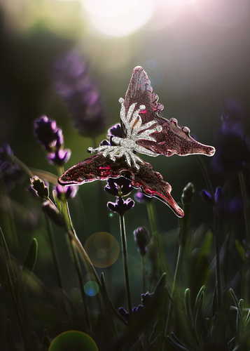 Jewel 1