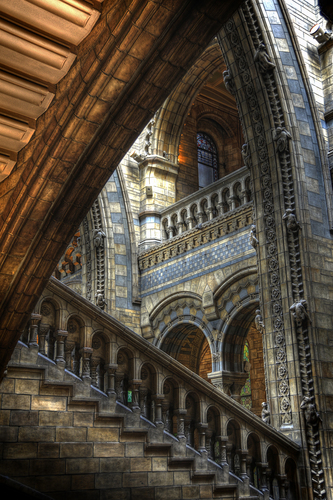 Natural History Museum