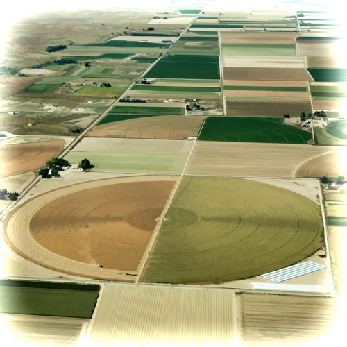 Harvest-Go-Round